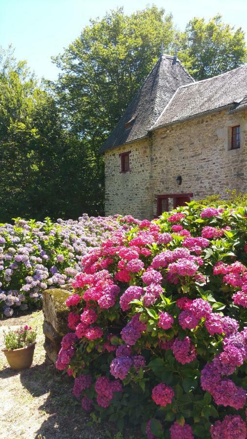 Chateau De Bellefond Lagrauliere ภายนอก รูปภาพ