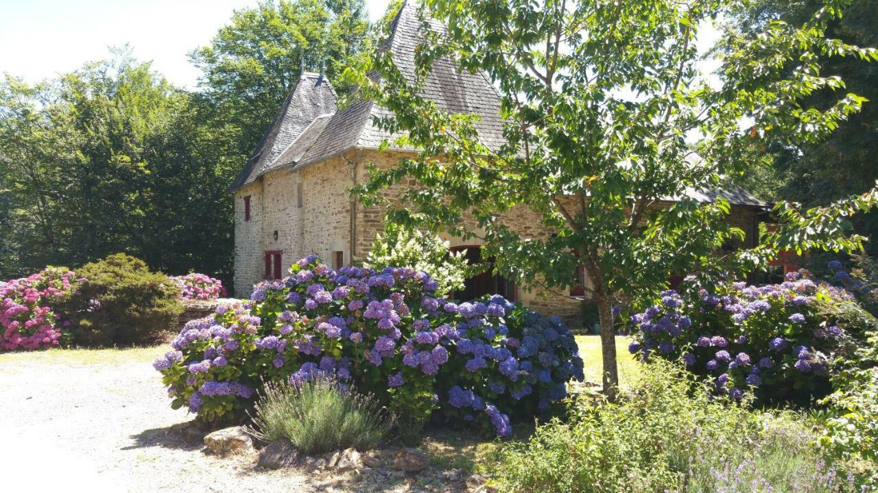 Chateau De Bellefond Lagrauliere ภายนอก รูปภาพ